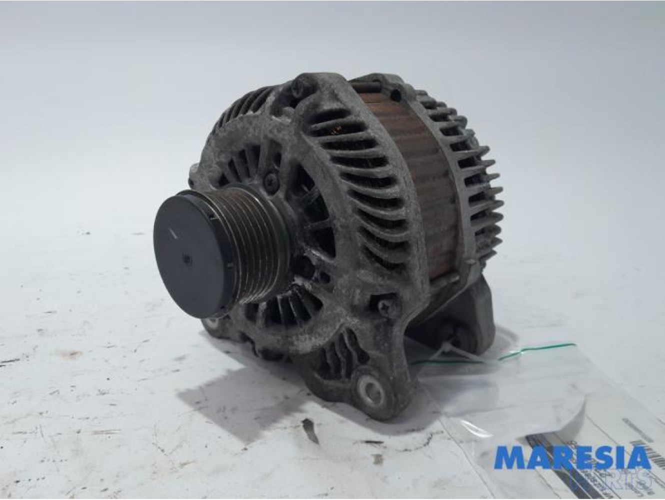 Renault - Scenic - Dynamo