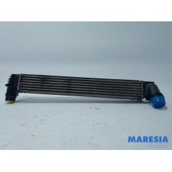 Renault - Scenic - Intercooler