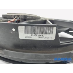 Citroen - C5 - Kühlgebläse Motor