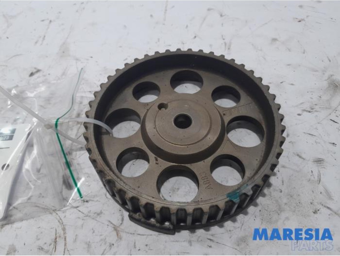 Fiat - Panda - Camshaft sprocket