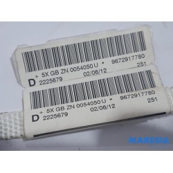 Peugeot - 208 - Airbag Himmel rechts
