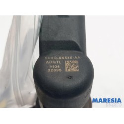 Citroen - C5 - Injector (diesel)