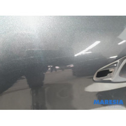 Peugeot - 208 - Tür 4-türig links hinten