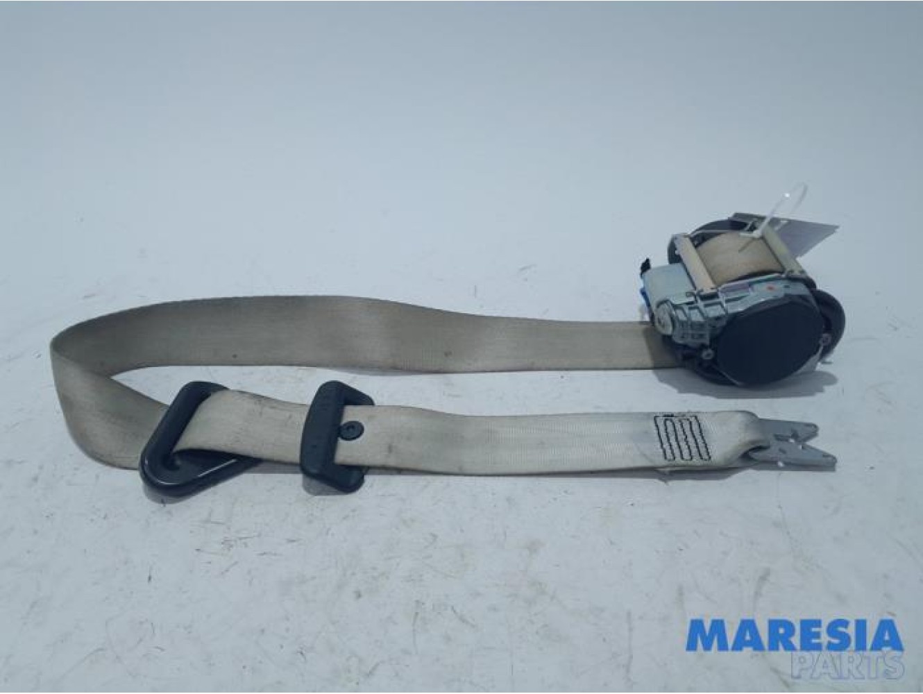 Renault - Scenic - Sicherheitsgurt rechts vorne