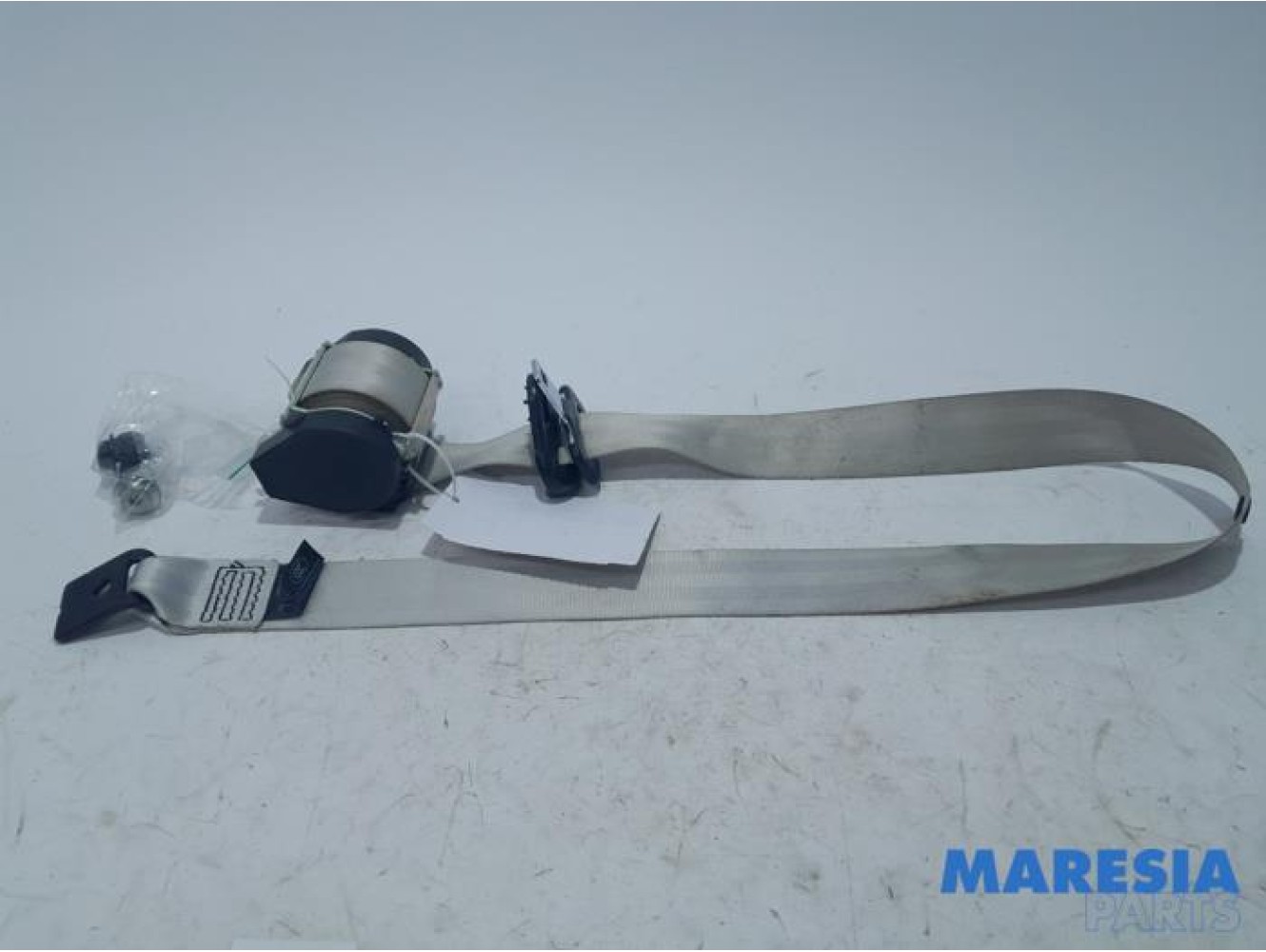 Renault - Scenic - Veiligheidsgordel links-achter