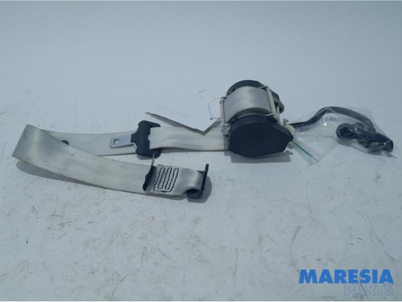 Renault - Scenic - Sicherheitsgurt rechts hinten