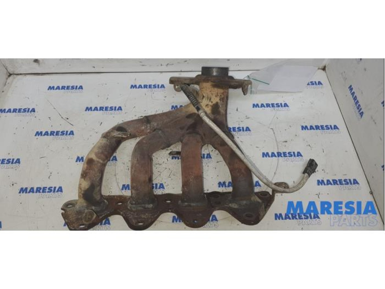 Renault - Scenic - Exhaust manifold
