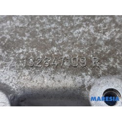 Renault - Clio - Kleppendeksel