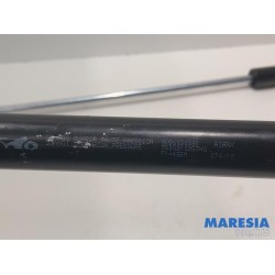 Peugeot - 207 - Set of tailgate gas struts