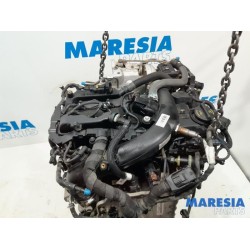 Alfa Romeo - Giulia - Engine
