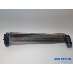 Renault - Megane - Intercooler