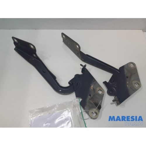 Renault - Megane - Bonnet Hinge