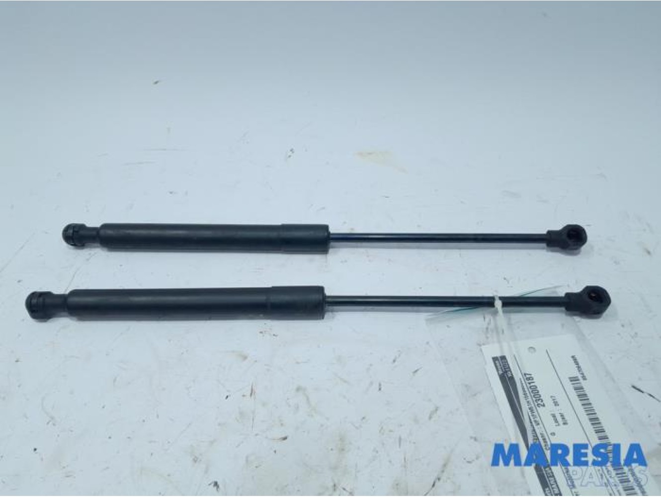 Renault - Kangoo - Gasdemper Motorkap Set