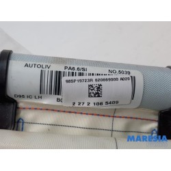 Renault - Megane - Airbag hemel links