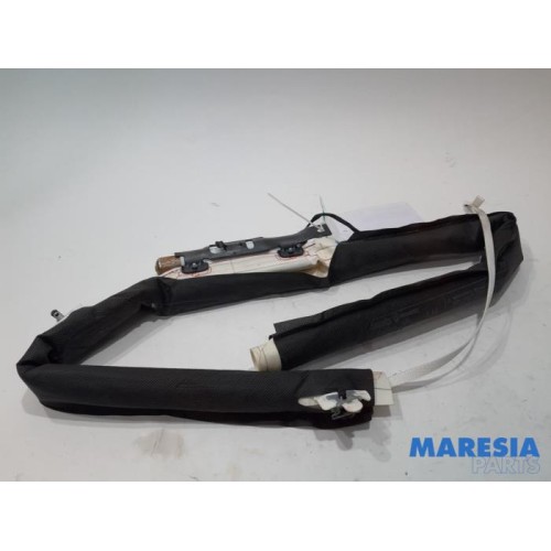 Renault - Megane - Airbag hemel links