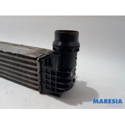 Renault - Megane - Intercooler