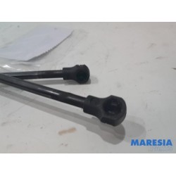Peugeot - 207 - Set of tailgate gas struts