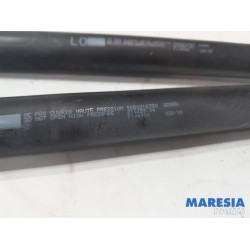 Peugeot - 207 - Set of tailgate gas struts