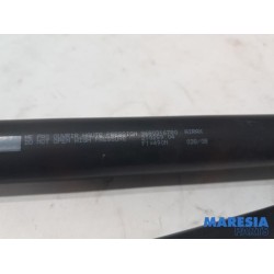 Peugeot - 207 - Set of tailgate gas struts
