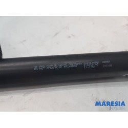 Peugeot - 207 - Set of tailgate gas struts