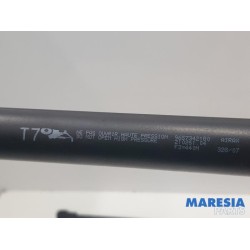 Peugeot - 308 - Set of tailgate gas struts