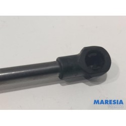 Citroen - C4 Cactus - Set of tailgate gas struts