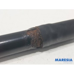 Citroen - C4 Cactus - Set of tailgate gas struts