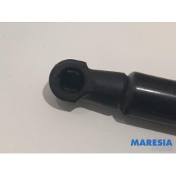 Citroen - C4 Cactus - Set of tailgate gas struts