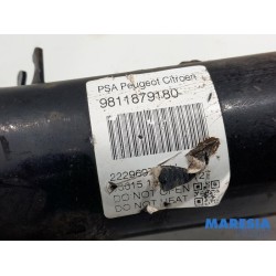 Citroen - C4 Cactus - Front shock absorber rod, left