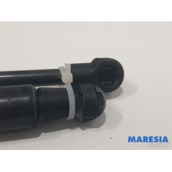 Renault - Twingo - Set Gasdämpfer Heckklappe