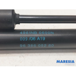 Peugeot - 307 - Set of tailgate gas struts