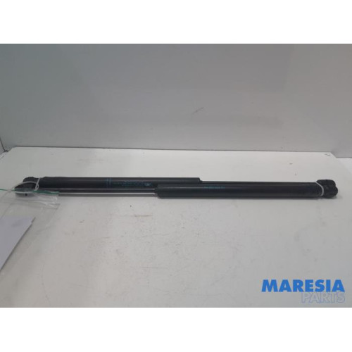 Peugeot - 307 - Set of tailgate gas struts