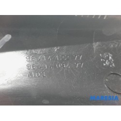 Peugeot - 307 - Dakrail links