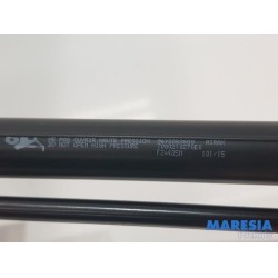 Peugeot - 208 - Set of tailgate gas struts