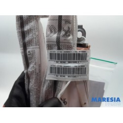 Citroen - C3 - Airbag hemel links