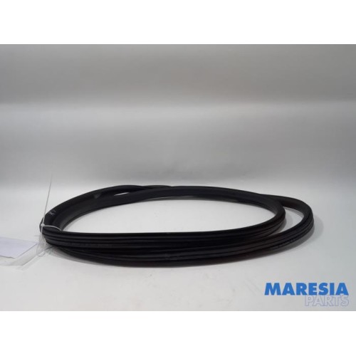 Citroen - C3 - Front door seal 4-door, right