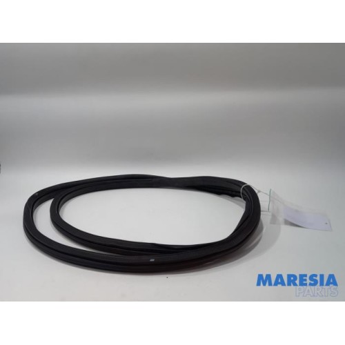 Citroen - C3 - Front door seal 4-door, left