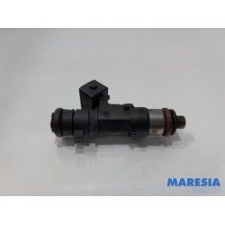 Fiat - 500 - Injector (petrol injection)