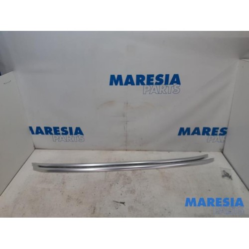 Peugeot - 308 - Dachreling Set