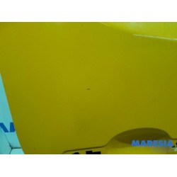 Renault - Trafic - Portier 2Deurs rechts