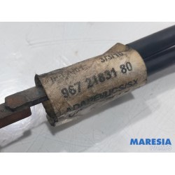 Peugeot - 3008 - Battery sensor
