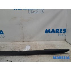 Citroen - C4 Cactus - Dachreling links