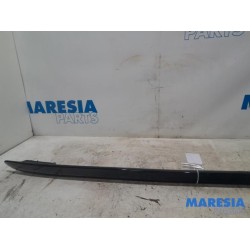 Citroen - C4 Cactus - Dachreling links
