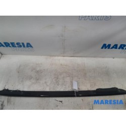 Citroen - C4 Cactus - Dachreling links