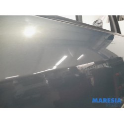 Renault - Grand Scenic - Tür 4-türig links vorne