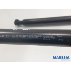 Renault - Clio - Set of tailgate gas struts