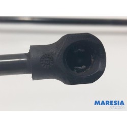 Renault - Clio - Set of tailgate gas struts