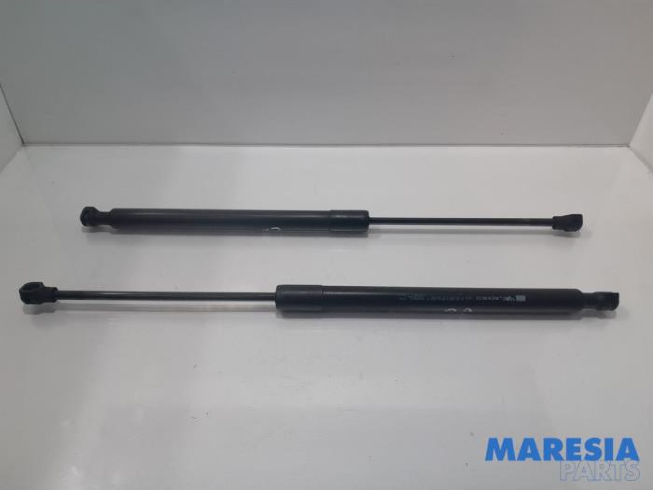 Renault - Clio - Set of tailgate gas struts