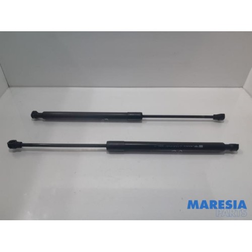 Renault - Clio - Set Gasdämpfer Heckklappe