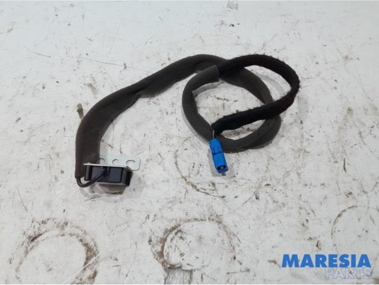 Renault - Clio - GPS antenna